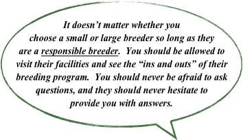 It doesn’t matter whether you choose a small or large breeder so long as they are a responsible breeder.  You should be allowed to visit their facilities and see the “ins and outs” of their breeding program.  You should never be afraid to ask questions, and they should never hesitate to provide you with answers.