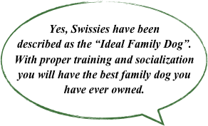 Yes, Swissies have been described as the “Ideal Family Dog”.  With proper training and socialization you will have the best family dog you have ever owned.