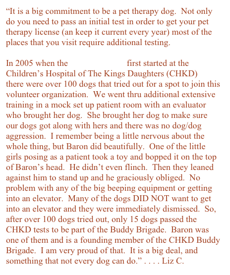 “It is a big commitment to be a pet therapy dog.  Not only do you need to pass an initial test in order to get your pet therapy license (an keep it current every year) most of the places that you visit require additional testing.&#10;&#10;In 2005 when the Buddy Brigade first started at the Children’s Hospital of The Kings Daughters (CHKD)&#10;there were over 100 dogs that tried out for a spot to join this volunteer organization.  We went thru additional extensive training in a mock set up patient room with an evaluator who brought her dog.  She brought her dog to make sure our dogs got along with hers and there was no dog/dog aggression.  I remember being a little nervous about the whole thing, but Baron did beautifully.  One of the little girls posing as a patient took a toy and bopped it on the top of Baron’s head.  He didn’t even flinch.  Then they leaned against him to stand up and he graciously obliged.  No problem with any of the big beeping equipment or getting into an elevator.  Many of the dogs DID NOT want to get into an elevator and they were immediately dismissed.  So, after over 100 dogs tried out, only 15 dogs passed the CHKD tests to be part of the Buddy Brigade.  Baron was one of them and is a founding member of the CHKD Buddy Brigade.  I am very proud of that.  It is a big deal, and something that not every dog can do.” . . . . Liz C.  